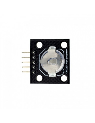 RTC (Real Time Clock) DS1307 module (with battery)