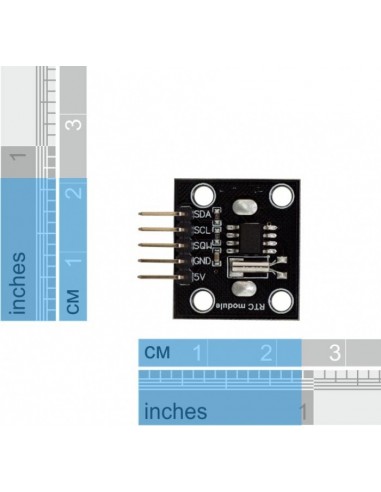RTC (Real Time Clock) DS1307 module (with battery)