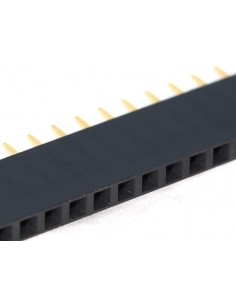 Savienotājs  40 Pin ("tētis") 2