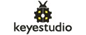 Keyestudio